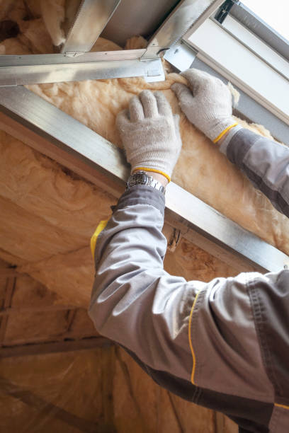 Best Attic Insulation Installation  in Kimberling City, MO