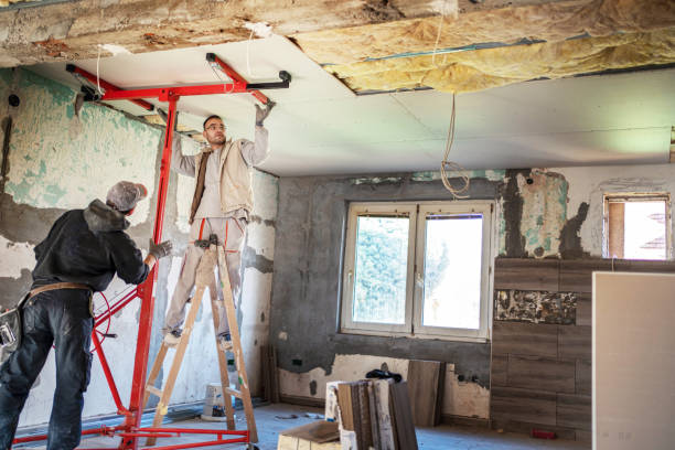 Best Local Insulation Services  in Kimberling City, MO