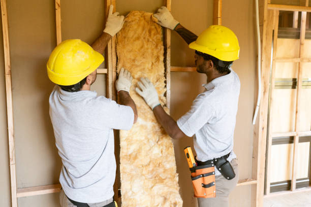 Best Home Insulation Services  in Kimberling City, MO