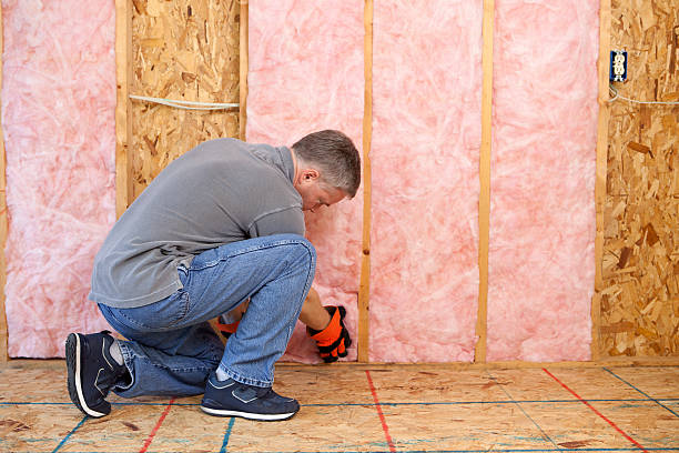 Best Best Insulation Companies  in Kimberling City, MO